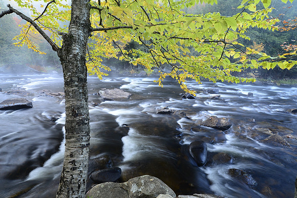 Oxtonge River Rapids