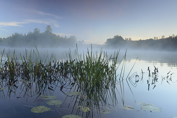 Severn River
